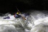 Thumbs/tn_Img_4816.jpg