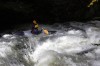 Thumbs/tn_Img_4818.jpg