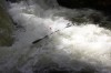 Thumbs/tn_Img_4828.jpg
