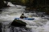 Thumbs/tn_Img_4882.jpg