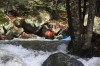 Thumbs/tn_Img_4980.jpg