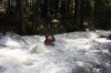 Thumbs/tn_Img_5001.jpg