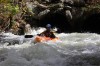 Thumbs/tn_Img_5013.jpg