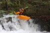 Thumbs/tn_Img_5033.jpg