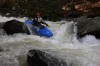 Thumbs/tn_Img_5090.jpg