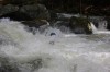 Thumbs/tn_Img_5105.jpg