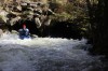 Thumbs/tn_Img_5143.jpg