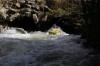 Thumbs/tn_Img_5153.jpg