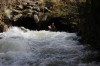 Thumbs/tn_Img_5160.jpg