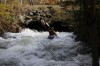 Thumbs/tn_Img_5164.jpg