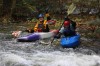 Thumbs/tn_Img_5170.jpg