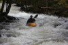 Thumbs/tn_Img_5192.jpg