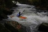 Thumbs/tn_Img_5219.jpg