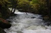 Thumbs/tn_Img_5240.jpg