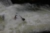 Thumbs/tn_Img_5256.jpg