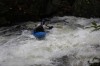 Thumbs/tn_Img_5299.jpg