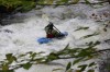 Thumbs/tn_Img_5356.jpg