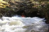 Thumbs/tn_Img_5425.jpg