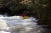 Thumbs/tn_Img_5436.jpg