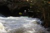 Thumbs/tn_Img_5450.jpg
