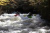 Thumbs/tn_Img_5456.jpg