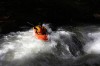 Thumbs/tn_Img_5488.jpg