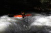 Thumbs/tn_Img_5489.jpg