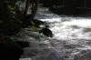 Thumbs/tn_Img_5496.jpg