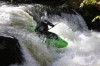 Thumbs/tn_Img_5505.jpg