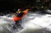 Thumbs/tn_Img_5524.jpg