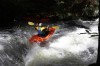 Thumbs/tn_Img_5525.jpg