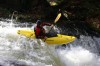 Thumbs/tn_Img_5556.jpg