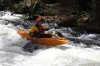 Thumbs/tn_Img_5577.jpg
