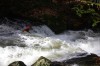Thumbs/tn_Img_5582.jpg