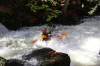 Thumbs/tn_Img_5584.jpg