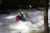 Thumbs/tn_Img_5598.jpg