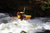 Thumbs/tn_Img_5606.jpg