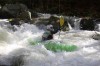 Thumbs/tn_Img_5637.jpg