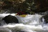 Thumbs/tn_Img_5656.jpg
