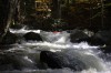 Thumbs/tn_Img_5681.jpg