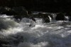 Thumbs/tn_Img_5687.jpg