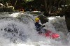 Thumbs/tn_Img_5698.jpg