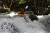 Thumbs/tn_Img_5709.jpg