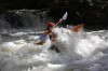Thumbs/tn_Img_5715.jpg