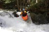 Thumbs/tn_Img_5725.jpg