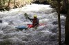 Thumbs/tn_Img_5746.jpg