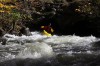 Thumbs/tn_Img_5750.jpg
