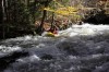 Thumbs/tn_Img_5757.jpg