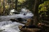 Thumbs/tn_Img_5791.jpg