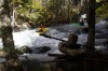 Thumbs/tn_Img_5803.jpg